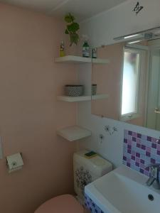 een badkamer met een toilet, een wastafel en een spiegel bij Mobile Homes Sous le Soleil in Valras-Plage