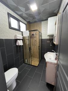 a bathroom with a shower and a toilet and a sink at Trabzon Silent Hill Bungalow in Trabzon