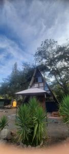 a small house with a pointed roof and some plants at Lodge Rincon Nativo in Hijuelas