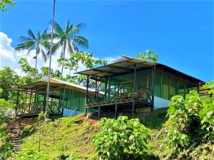 a green building on top of a hill with palm trees at Amazon Açaí Lodge in Leticia