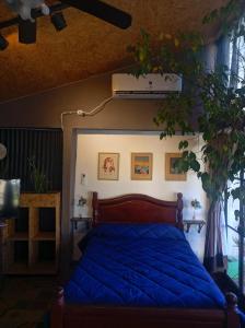 a bedroom with a bed with a blue comforter at Departamento los lapachos in Villa Allende