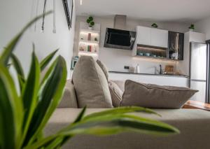 uma sala de estar com um sofá e uma cozinha em Jacuzzi Suite Paradise em Ciudad Real
