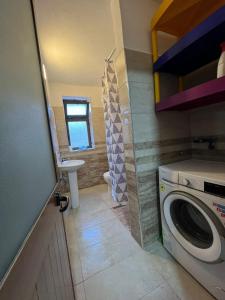 baño pequeño con lavadora y lavamanos en Necaj Apartment, 