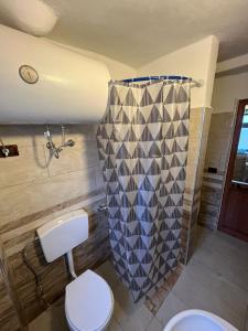 y baño con aseo y cortina de ducha. en Necaj Apartment, 