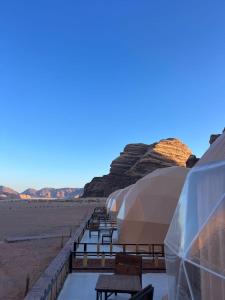 Příroda nedaleko luxury tent + 37 fotografií