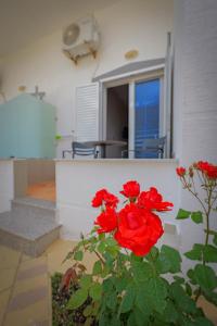 a group of red roses in front of a house at Hotel Deja Vu in Ksamil