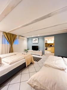two beds in a room with a tv on the wall at EPA Apartment - Swedish style Souterrain in Rust