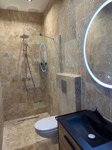 a bathroom with a shower and a toilet and a sink at La nuit de rêve Suite privative Jaccuzi Sauna Suite 2 in Crouy +3 photos