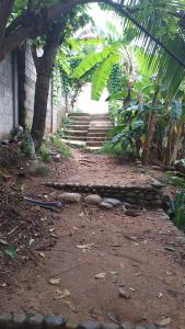 un chemin de terre avec des escaliers et un bâtiment avec des arbres dans l'établissement Sierra Tayrona hostel, à El Zaino