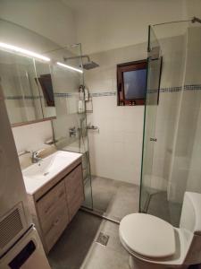 uma casa de banho com um chuveiro, um WC e um lavatório. em Direti villa em Kalamitsi Amygdali
