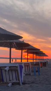 Baks-RrjollGuest Hours Kolaj的相册照片