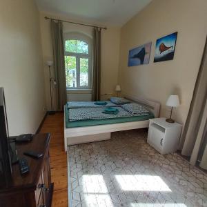 um quarto com uma cama e uma janela em Apartment Under the Maple em Klaipeda