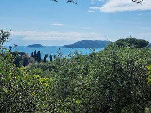 a view of the ocean from behind some trees at Patty's Cottage with private PARKING in Lerici
