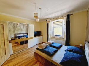 卡爾帕奇的住宿－Apartament BAJA Karpacz，一间卧室配有一张带蓝色枕头的床。