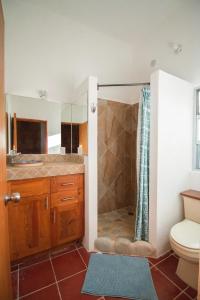 uma casa de banho com um chuveiro e um WC. em la playita hostal em San José del Cabo