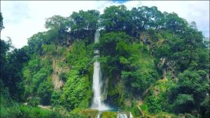 a waterfall on the side of a mountain with trees at Casa La Prieta Linda in Tamasopo