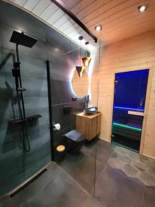 a bathroom with a shower and a toilet and a sink at Vidokówka Resort in Waksmund +42 photos