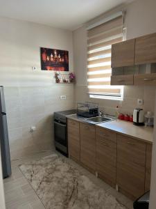 a kitchen with a sink and a stove at Lux Apartman Jovana in Žabljak