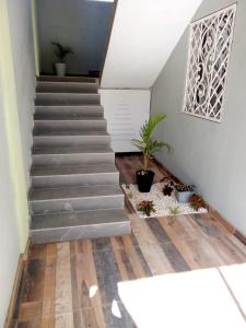 una escalera en una casa con escalera en Merengue House, en Boca Chica