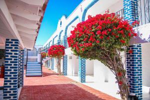 a narrow street with red flowers on a building at Playa Inn Rocky Point in Puerto Peñasco