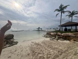 una persona apuntando a una playa con palmeras en Delux Oceanview on the Caribbean @ Playa Escondida Resort, en María Chiquita