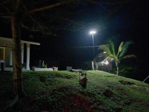 una luz de la calle en la cima de una colina por la noche en Belebar Homestay Taman Negara Pahang Malaysia, en Kuala Tahan