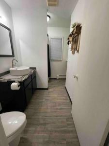a bathroom with a white toilet and a sink at Second floor apartment in Mountain Iron