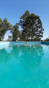 ein Pool mit blauem Wasser und Bäumen im Hintergrund in der Unterkunft Chacra El Talero in Saladillo