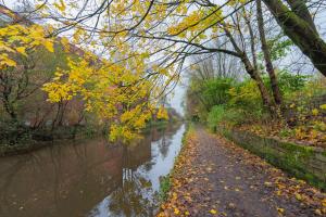 einen Weg neben einem Fluss mit gelben Blättern darauf in der Unterkunft A Cosy Home from Home in Middleton