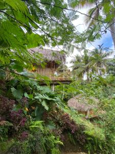 a resort building with a thatched roof in the jungle at Treehouse waterfalls El Limón D-03 in El Limón