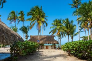 ein Resort am Strand mit Palmen in der Unterkunft Aite Eco Resort in Palomino