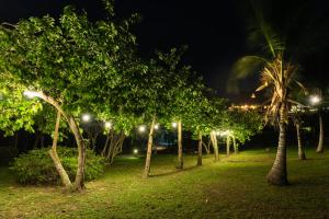 a row of trees in a park at night at Aite Eco Resort in Palomino