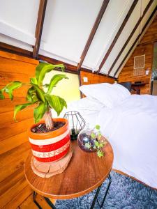 Glamping Chalet Deluxe cerca al centro de Villa de Leyva - By Serena Morena客房内的一张或多张床位