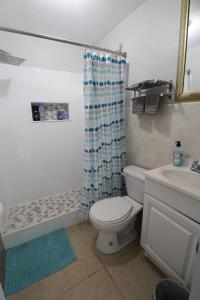 a bathroom with a toilet and a shower curtain at Dolphin Villas AXA in Crocus Hill