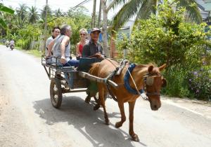 grupa ludzi jeżdżących wózkiem ciągniętym koniem w obiekcie Hương Tràm w mieście Hồ Ðá