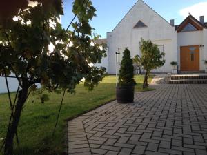 een witte kerk met een boom ervoor bij Winzerhof Klua Hoada in Illmitz