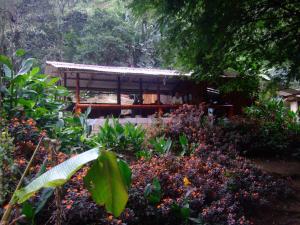 einen Garten mit einem kleinen Gebäude im Hintergrund in der Unterkunft Bosque Secreto - Private Cabin and Camping in Quito