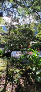 vistas a un jardín con flores y árboles en Bosque Secreto - Private Cabin and Camping, en Quito