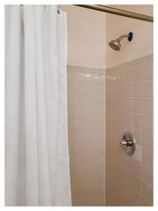 a shower with a white shower curtain at Modern Comfort Stays in Alexandria