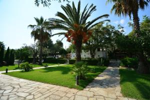 Áno LekhóniaにあるVilla Oliveの椰子の木と歩道のある庭園