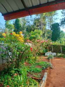 Jardín al aire libre en White bungalow
