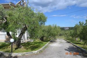 Fotografia z galérie ubytovania Beautiful maisonette (Όμορφη μεζονέτα) v destinácii Nea Moudania