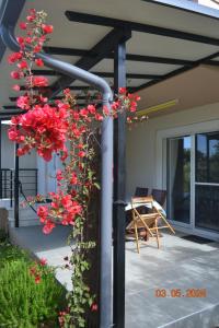Vonkajšia záhrada v ubytovaní Beautiful maisonette (Όμορφη μεζονέτα)