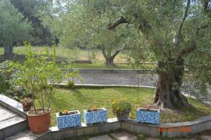 Vonkajšia záhrada v ubytovaní Beautiful maisonette (Όμορφη μεζονέτα)
