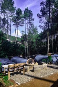 un parque con un banco y árboles al fondo en wulandari reverside camping ground pinus singkur, en Bandung