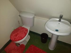 une salle de bains avec toilettes et lavabo dans l'établissement Ridge View Cottage Blue Mountain Wilderness Retreat, à Port Antonio