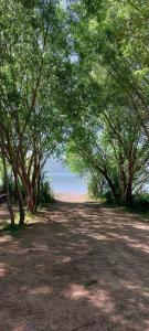 wysadzana drzewami droga z plażą w oddali w obiekcie Tatvan Kamp Alanı w mieście Tatvan