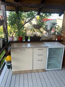 una cocina blanca en una terraza con macetas en Cabana Sorina, en Corbu