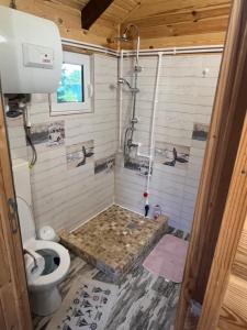 a bathroom with a shower and a toilet at Cabana Sorina in Corbu +48 photos
