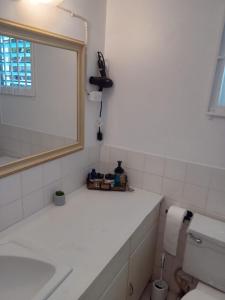a bathroom with a sink and a mirror and a toilet at Peaceful Home With Private Pool! in Montego Bay